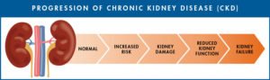 Essay Health promotion and chronic kidney disease